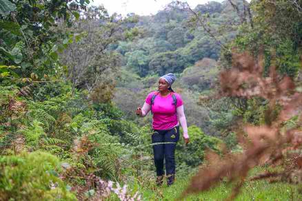 Kihuri Forest Bathing Hike & Trek | Hiking In Kenya — Wild Springs Adventures outdoor event